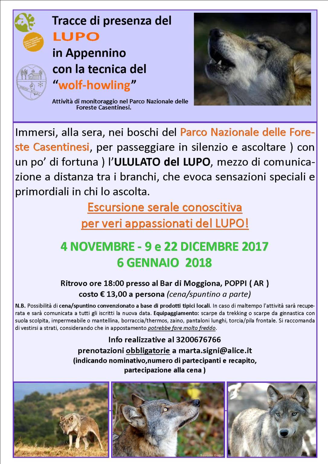 lupo escursioni wolf howling 2017