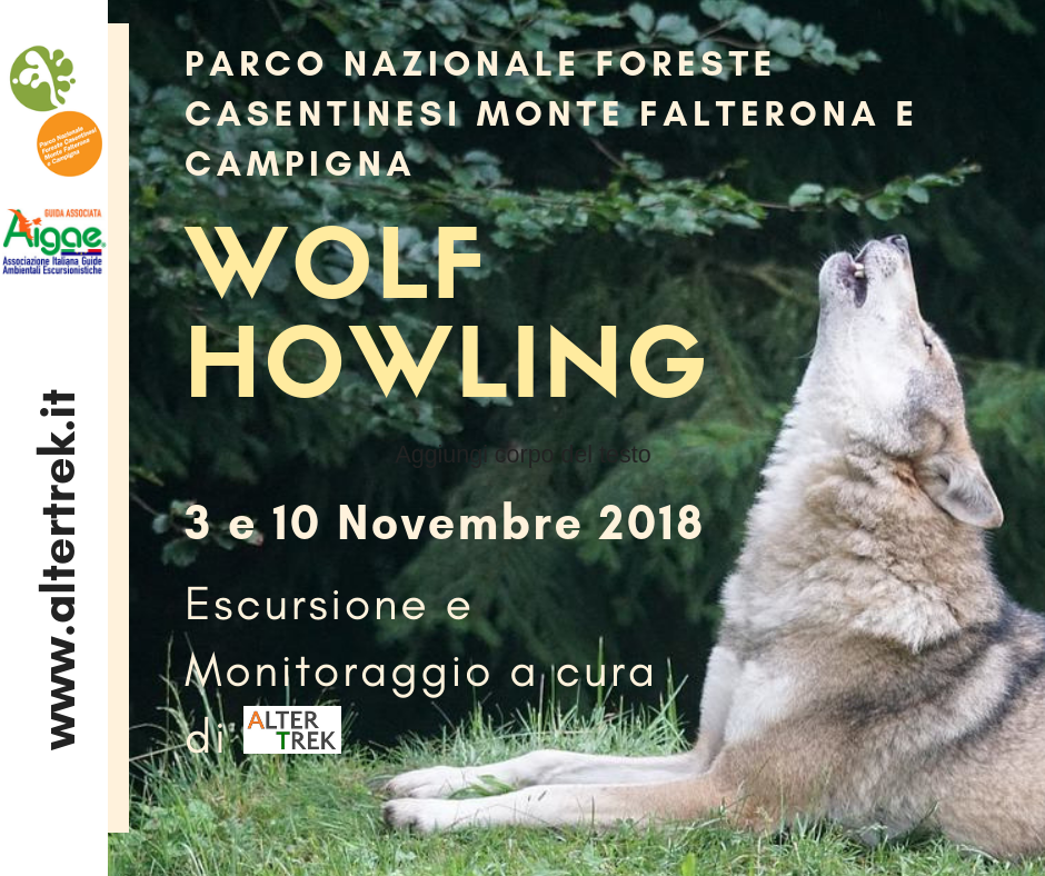 Wolf Howling 2018 Altertrek.png